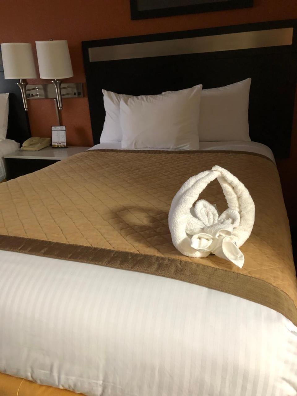 Baymont By Wyndham Cincinnati Sharonville Kültér fotó